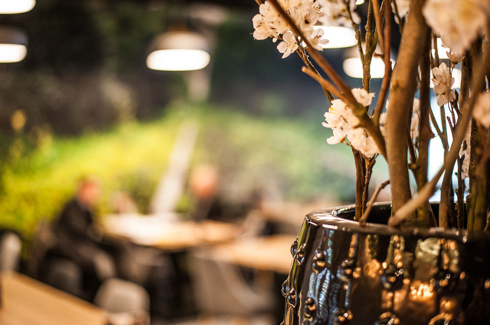 Hotel Hoogeveen Ngoại thất bức ảnh